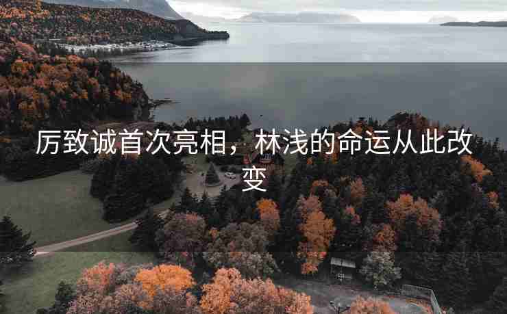 厉致诚首次亮相，林浅的命运从此改变