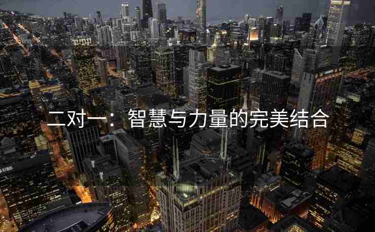 二对一：智慧与力量的完美结合
