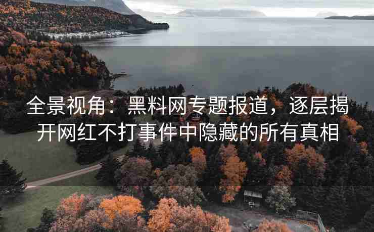全景视角：黑料网专题报道，逐层揭开网红不打事件中隐藏的所有真相
