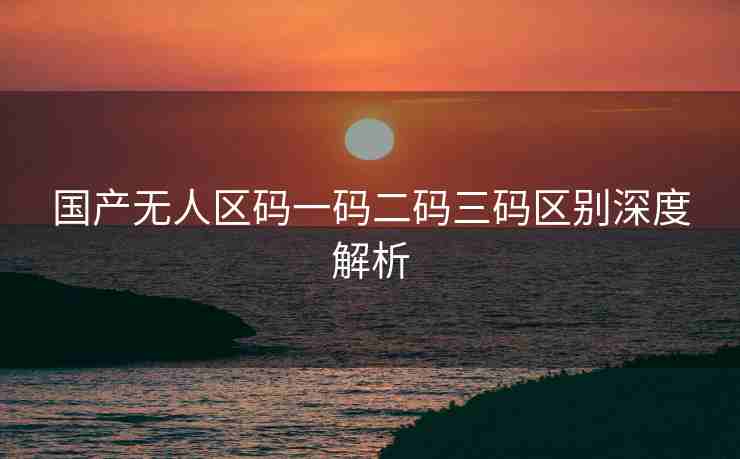 国产无人区码一码二码三码区别深度解析